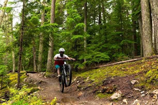 istock Male biking through a lush forest 1177563216