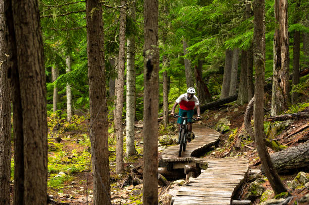 istock African American man mountain biking through a forest 1177563254