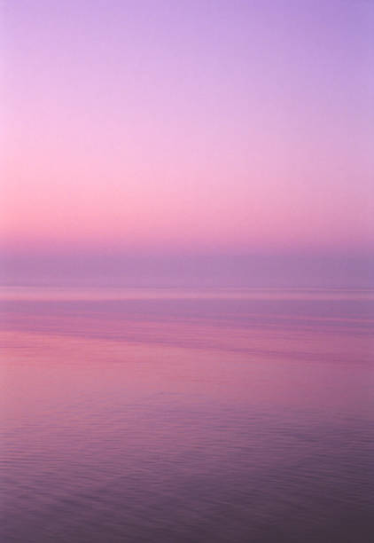 istock Pink Sunset of the ocean 1177565109