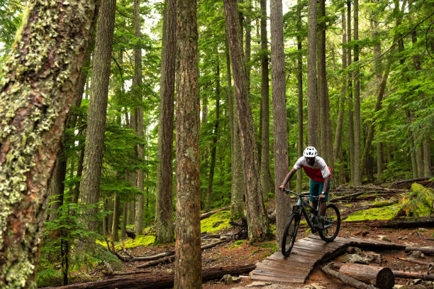 istock African American man mountain biking through a forest 1177572936