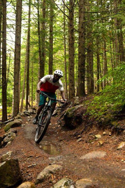 istock Male biking through a lush forest 1177572976