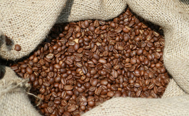 Roasted coffee beans Roasted coffee beans from Indonesia in a burlap sack. biji kopi stock pictures, royalty-free photos & images