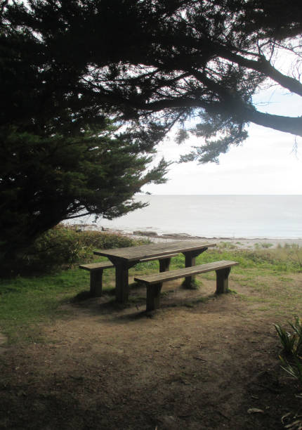 istock Picnic table by the sea 1177576116
