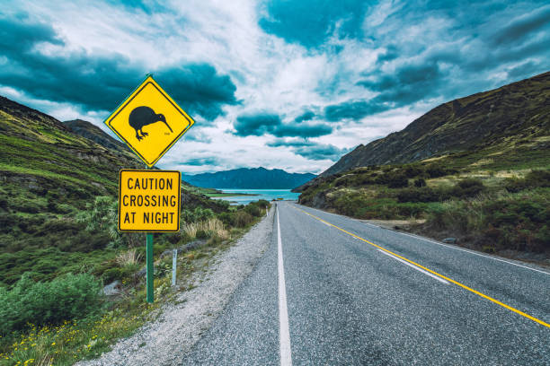 kiwi-vogel-warnschild auf der straße in neuseeland - westland stock-fotos und bilder