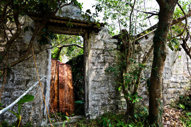 Old abandoned house overgrown with weeds.