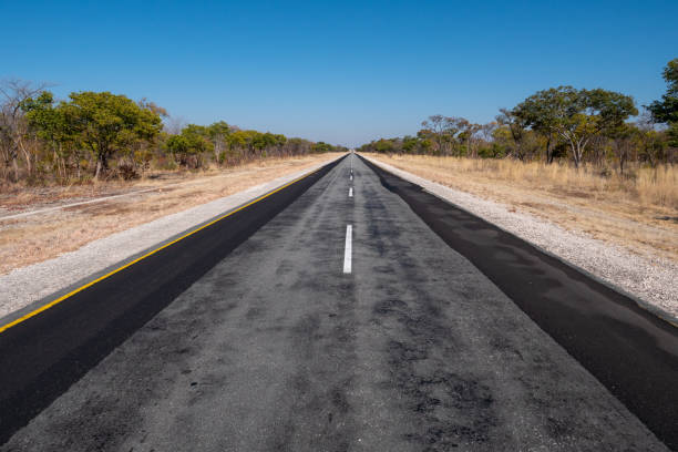 Long, Straight Tarmac Road B8 in the Caprivi Strip, Namibia Long Tarmac Road B8 called Golden Highway in the Caprivi Strip, Namibia, Africa going straight to the Horizon in a Lonely, Remote Part of the African Bush african openbill anastomus lamelligerus stock pictures, royalty-free photos & images