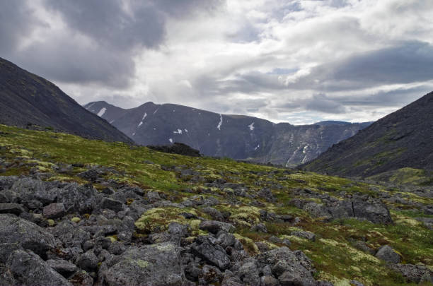 tundra de montaña con musgos y rocas cubiertas de líquenes, montañas hibiny sobre el círculo ártico, península de kola, rusia - khibiny hibiny valley mountain fotografías e imágenes de stock