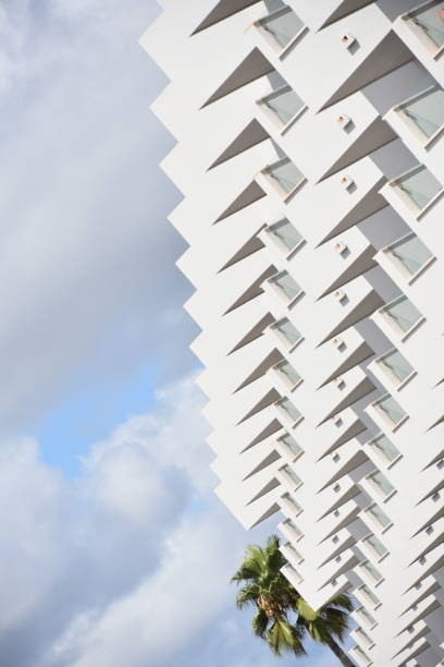 View of a white skyscraper building against the blue sky, framed by palm fronds