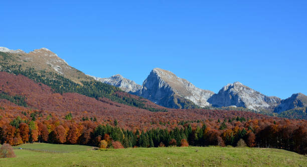 горы в альпаго осенью - day autumn beauty in nature belluno стоковые фото и изображения