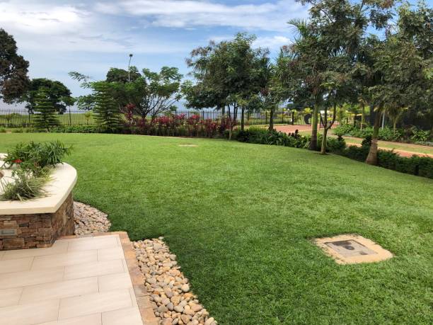 istock Lake house lawn 1177592689
