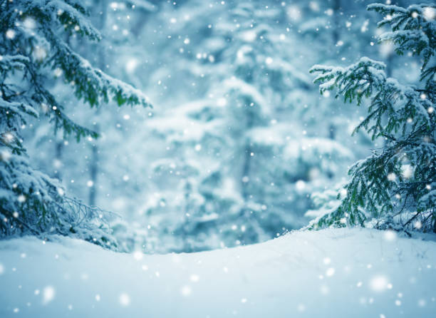 istock Beautiful tree in winter landscape in late evening 1177593757