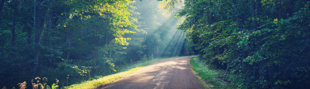 istock Asphalt road on early autumnal morning 1177594815
