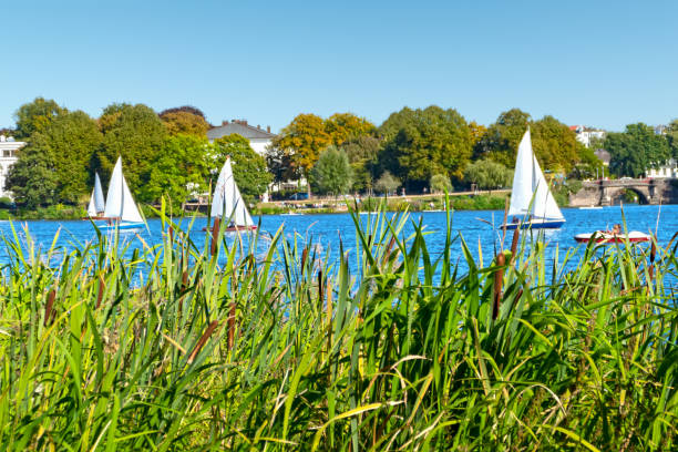 istock Outer Alster with sailing boats in summer 1177609920
