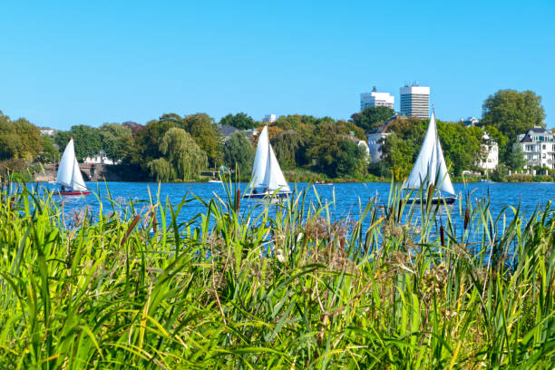 istock Outer Alster with sailing boats in summer 1177609921
