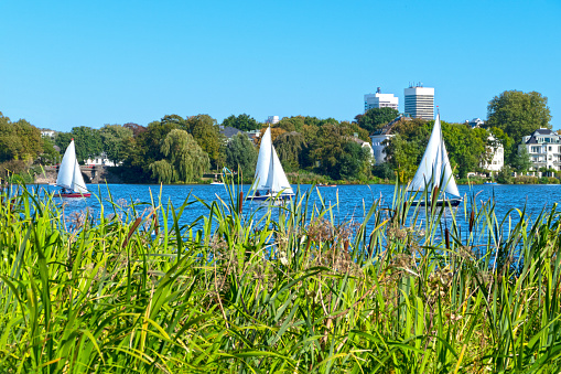 Outer Alster with sailing boats in summer