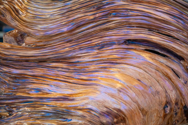 What is Almug Wood