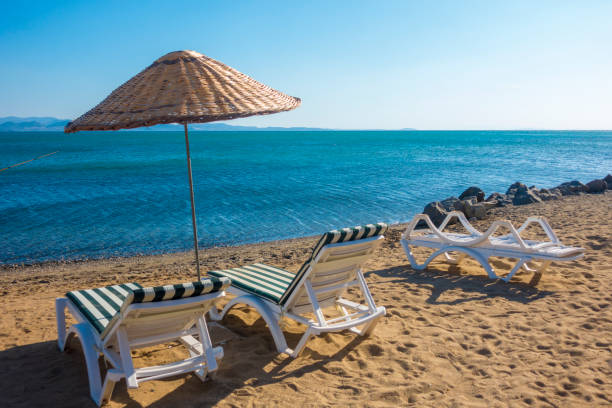istock Palm with sun umbrellas at beach 1177614406