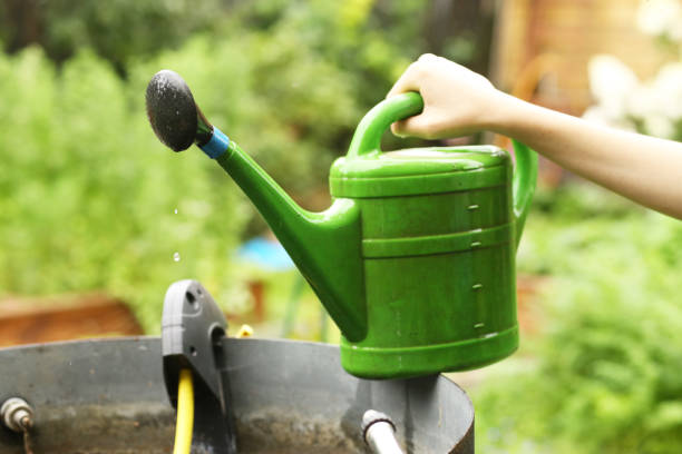 istock water can with human hand and hose on green summer background 1177614940