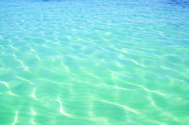 istock Clear green water of ocean 1177616260