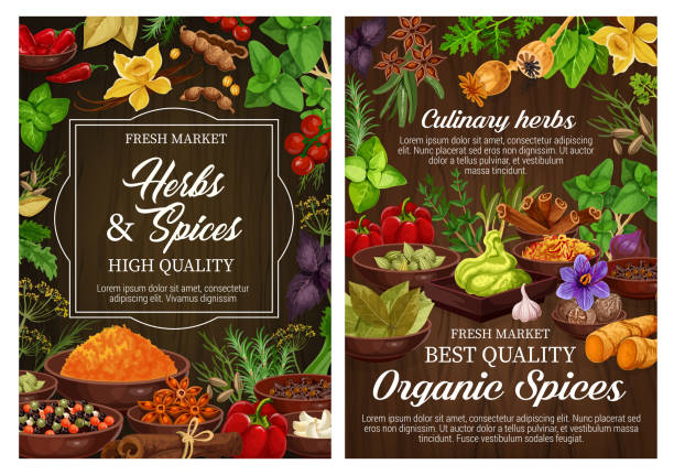 Fresh spices and green herbs on wooden background Spices and culinary herbs, vegetarian seasoning and natural condiments. Rosemary, mint and basil, vanilla, cinnamon and chilli pepper, ginger, cardamom and bay leaf, thyme, star anise, nutmeg, saffron ginger ground spice root stock illustrations