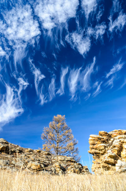 steppa tazhenranskaya sulla costa occidentale del lago baikal, siberia - larch tree stone landscape sky foto e immagini stock