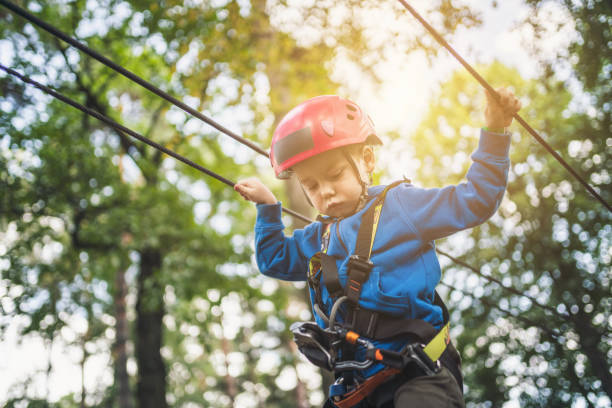 istock Cute little boy in an adventure park 1177617776
