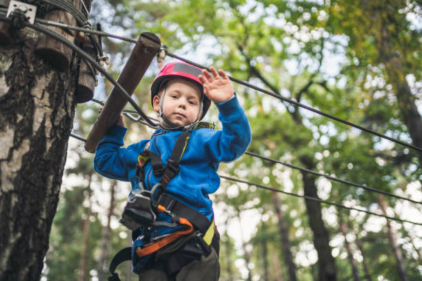 istock Cute little boy in an adventure park 1177617780