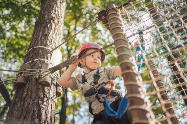 istock Cute little boy in an adventure park 1177617793