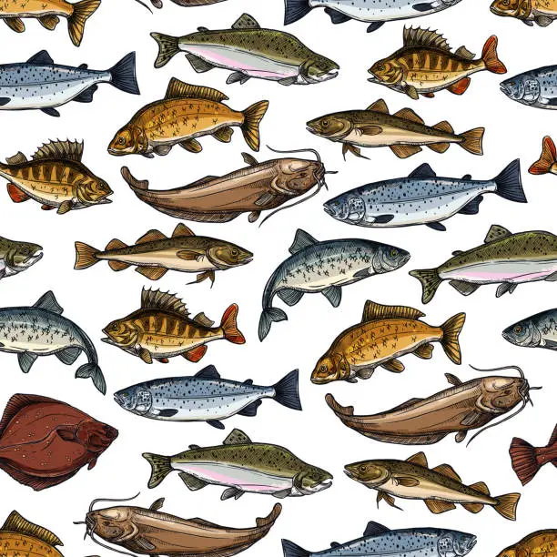 Vector illustration of Sea fish, ocean seafood, marine animals pattern
