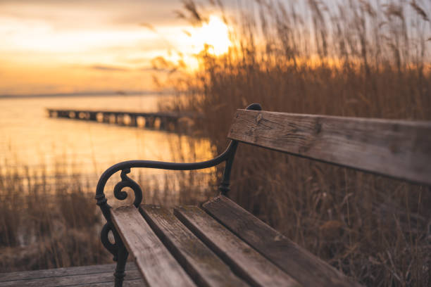 Autumnal sunset at the lake. Lakeshore with a bench and wooden walkway. Autumnal sunset at the lake. Lakeshore with a bench and wooden walkway. In the background the footbridge, the reed and the setting sun. Autumn at the lake. Winter at the lake bench stock pictures, royalty-free photos & images