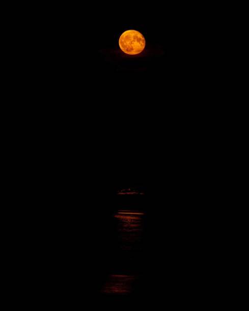 istock Harvest moon rising above the sea 1177620179