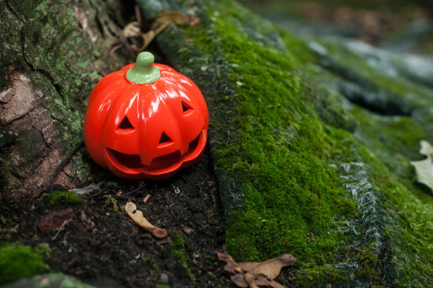 istock decorative pumpkin for halloween in the garden 1177622315
