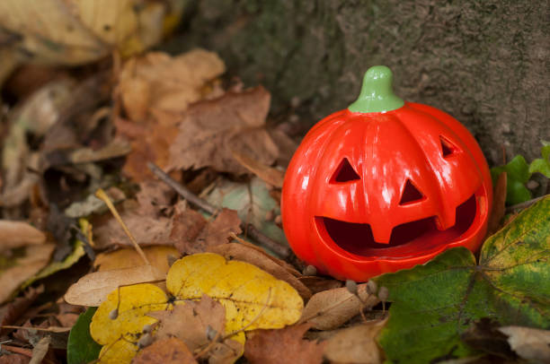 istock decorative pumpkin for halloween in the garden 1177622449