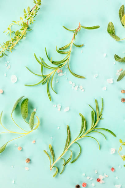 istock Culinary aromatic herbs with salt and pepper on a teal blue background, cooking pattern, flat lay composition 1177623589