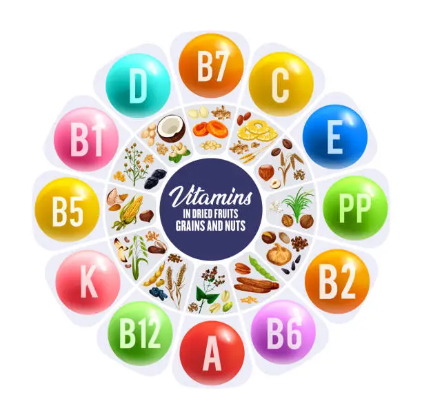 Vector illustration of Vitamins in dried fruits, nuts and cereal grains