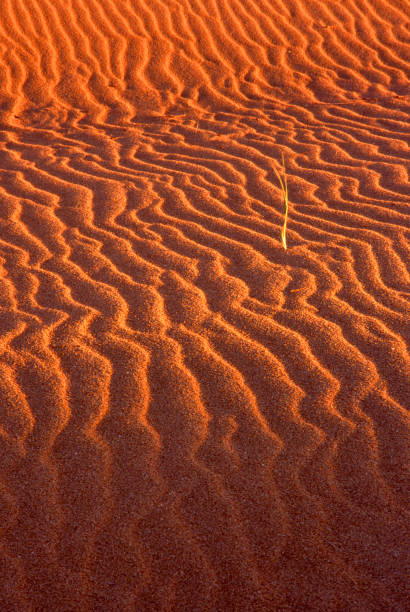 A high-altitude aerial perspective of the remote Saharan landscape. This photograph captures dark, weather-worn rocky ridges and peaks protruding from a vast expanse of ochre-colored sand plains. A thick atmospheric haze or dust layer hangs over the horizon, emphasizing the extreme aridity, isolation, and scale of the desert environment in North Africa.
