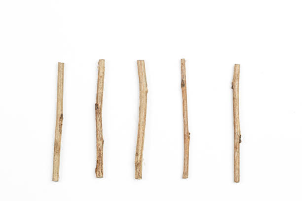 istock stick pieces on white isolated background 1177629617