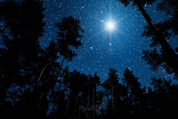 istock The star indicates the christmas 1177631638