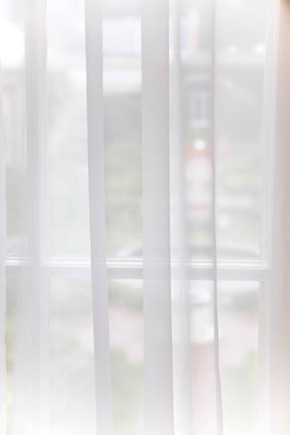 a picture of a view of a back yard through the curtain on a window