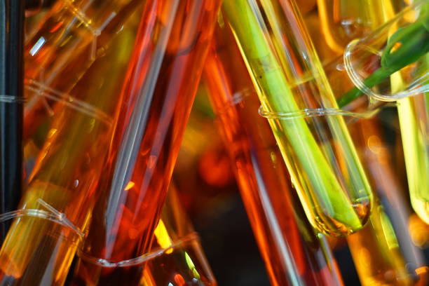 istock Colorful test tubes with plant stems 1177638512