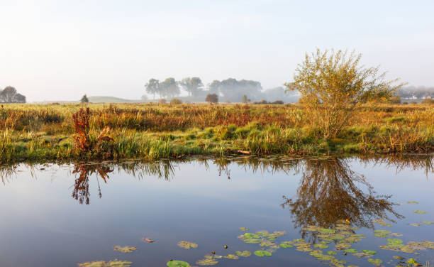 istock Water reflections and moor landscape view 1177644294