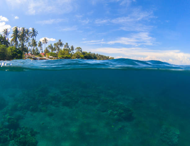 istock Double landscape. Blue sea and sky. Seascape split photo. Double seaview. 1177647703