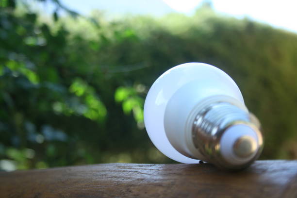 istock LED bulb on the wooden table with green nature background for eco saving concept 1177648225