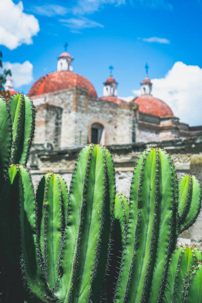 istock Zapotec Ruin 