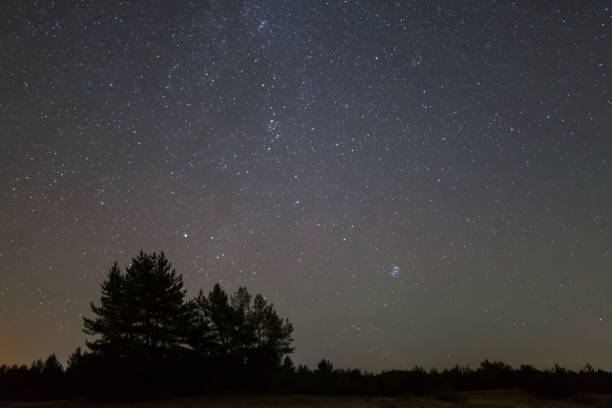 istock night outdoor scene, forest silhouette and beautiful shining starry sky 1177655118
