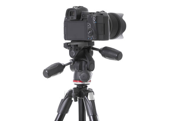 istock Backside view of modern multifunctional black camera on trepied isolated 1177656339