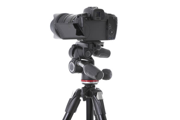 istock Backside view of modern multifunctional black camera on trepied isolated 1177656345