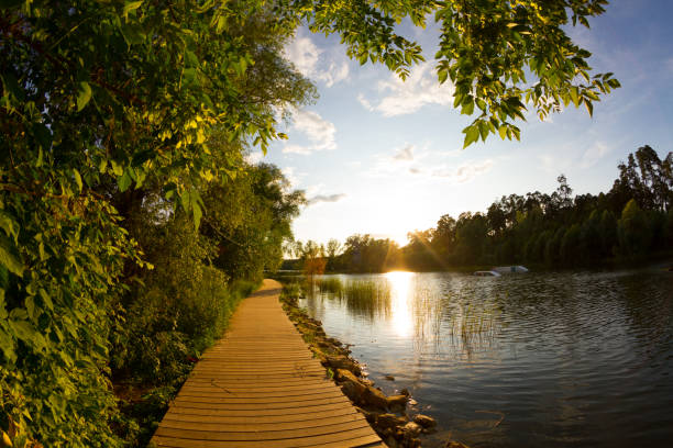 Wooden trail in park near to lake