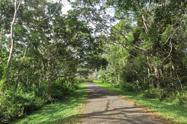 istock road in Varirata NP 1177661094