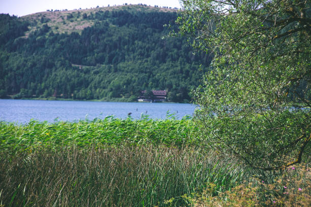 istock Bolu Abant lake! 1177663205